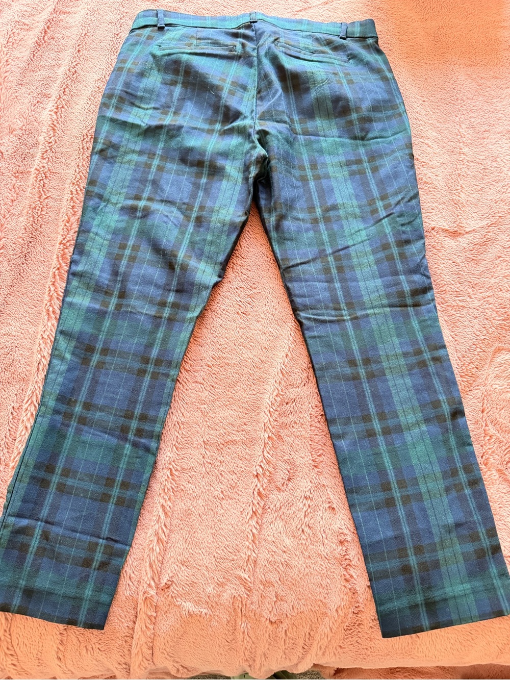 GAP Blue and Green Plaid Cropped Pants